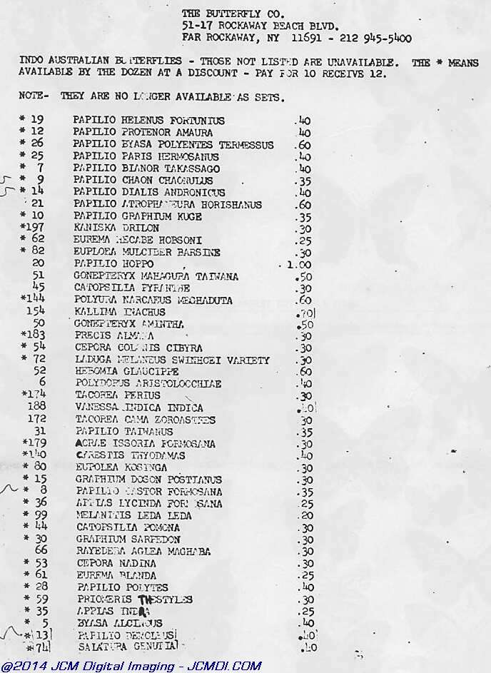 The Butterfly Company (NY) 3 Page catalog (No Date)